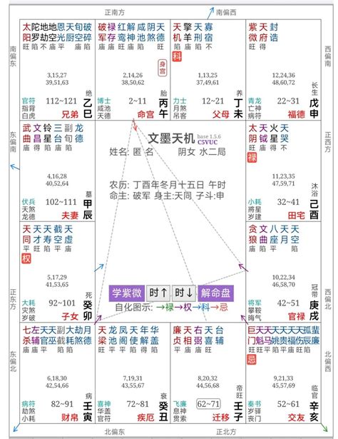 陰男 意思|紫微斗数：中宫显示的阳男、阳女、阴男、阴女是什么意思？